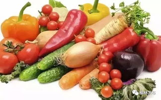 靖邊蔬菜節(jié)即將來(lái)襲 花卉主題活動(dòng)全知道