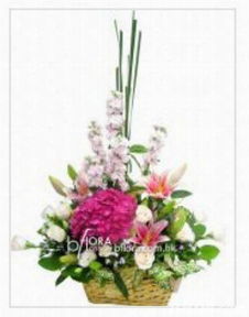 麗沁花藝 花卉、植物、美食與禮品的完美融合