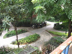 廈門吉利園 匠心獨運，盆景藝術點亮花卉世界